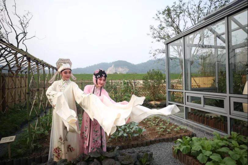 15410679458926075bNv.jpg 微信图片_20181101180729.jpg